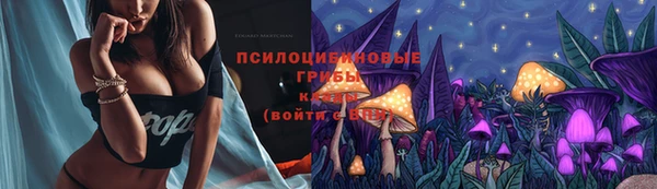 амф Протвино