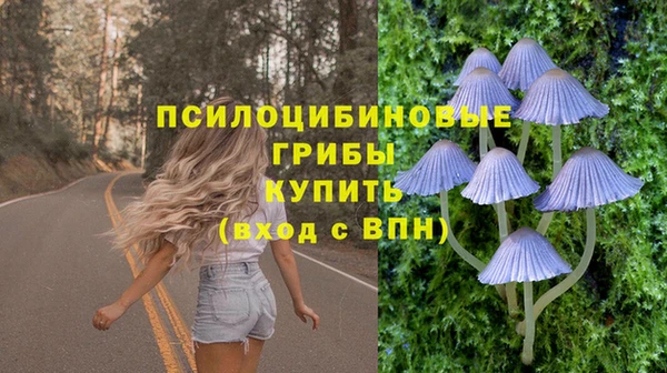 эйфоретик Алексеевка
