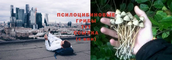 дмт Алексин